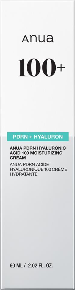 Anua PDRN Hyaluronic Acid 100 Moisturizing Cream 60ml